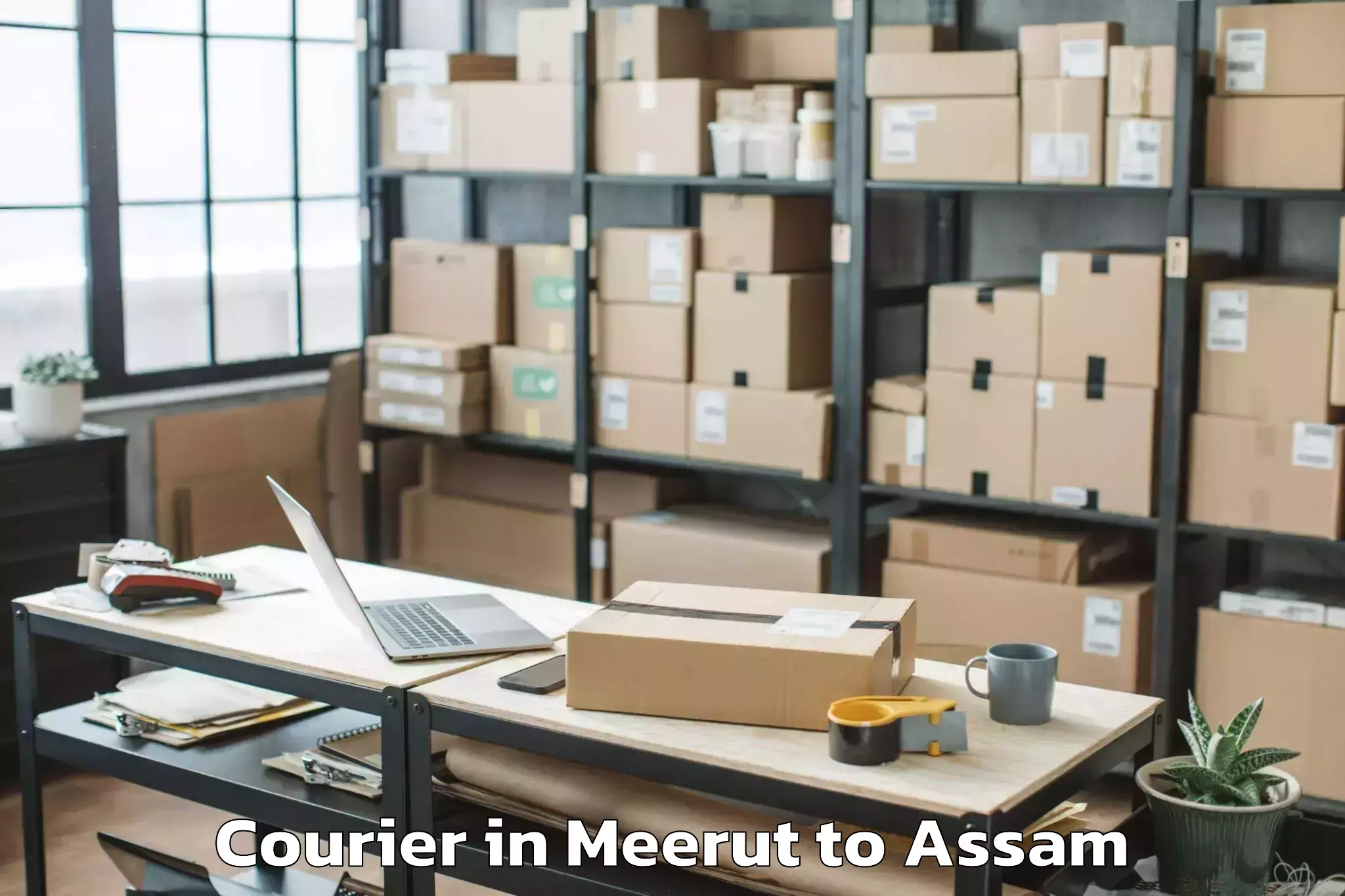 Affordable Meerut to Bokakhat Courier